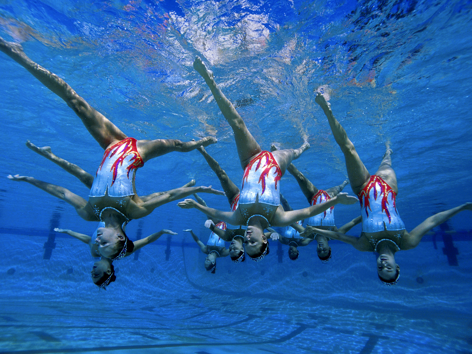 u.s.a._synchronized_swimming_team__san_jose__california